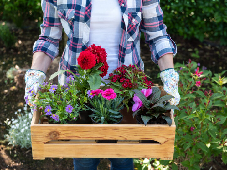 Come Preparare Il Giardino Per La Primavera Lavori Di Febbraio Donna