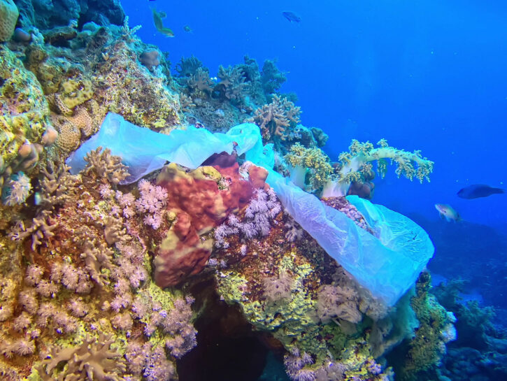 Stop Alla Plastica Monouso Da Luglio Donna Moderna