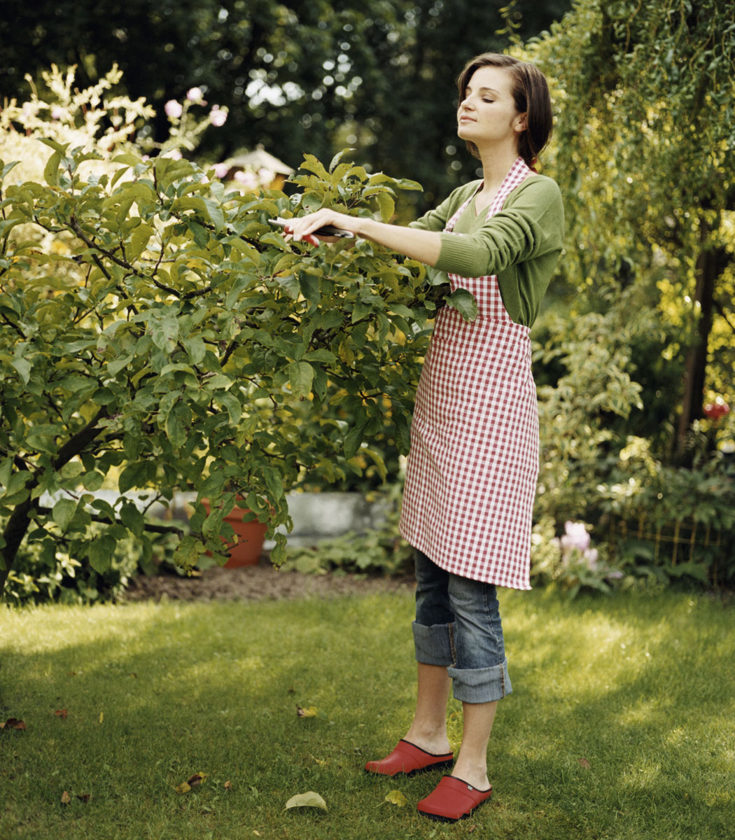 Gli indispensabili per il giardino - Donna Moderna