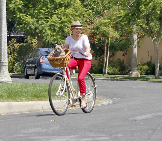 hai voluto la bicicletta e adesso pedala