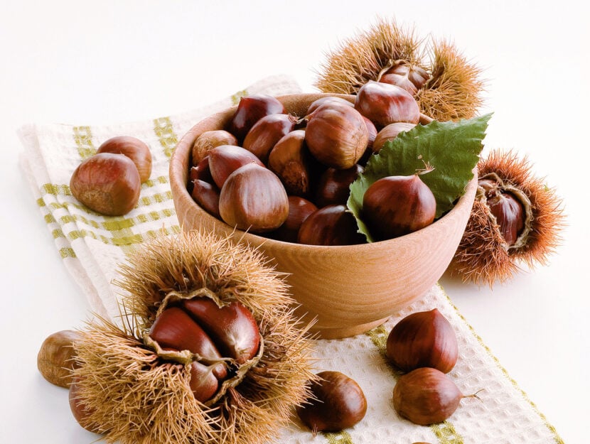 Castagne e marroni: varietà, differenze e cotture base ...