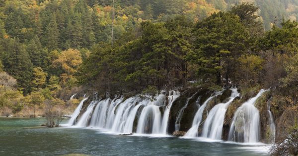 Le Foreste Piu Belle Grandi E Particolari Del Mondo Donna Moderna