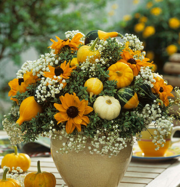 Fiori Secchi Decorativi in Vaso E Zucca Di Vetro Immagine Stock - Immagine  di decorazione, zucca: 204363313