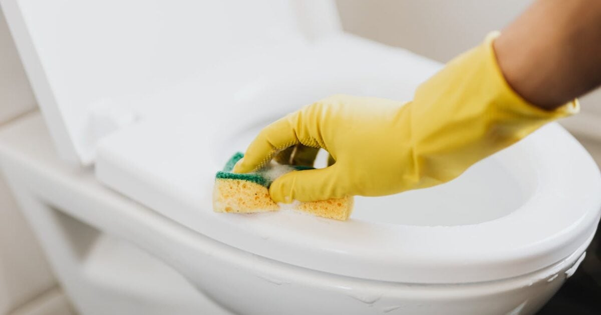 Come pulire il WC in modo ecologico: basta un solo ingrediente molto  economico - TuriWeb