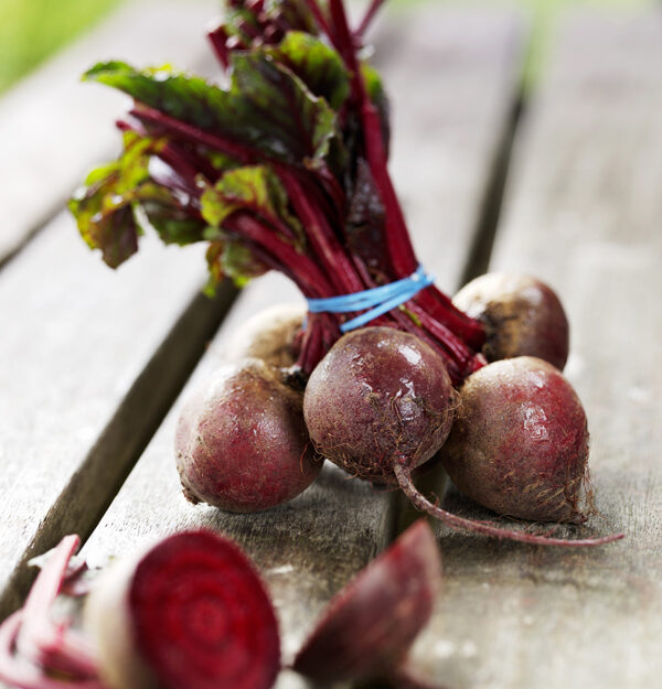 Orto sul balcone: Quali contenitori scegliere - Giornale del cibo