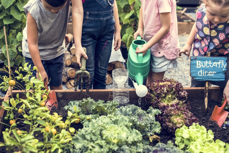 Le attività Montessori da fare in giardino - Donna Moderna