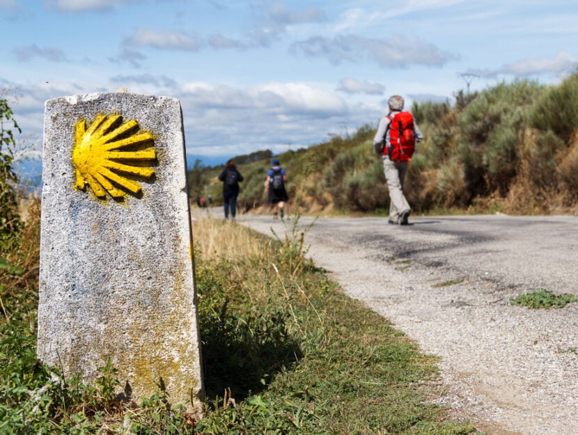 Il Cammino Francese per Santiago: tutto quello che c'è da sapere - Terre di  mezzo