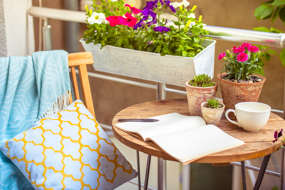 Fiori estivi quali piantare  Fiori da vaso e da balcone per l'estate - Donna  Moderna