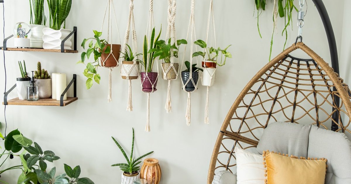 Vasi da parete con piante pendenti