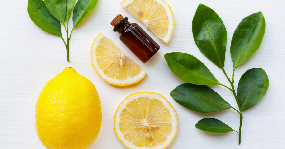 Olio essenziale di limone: proprietà, utilizzi e i migliori - Donna Moderna