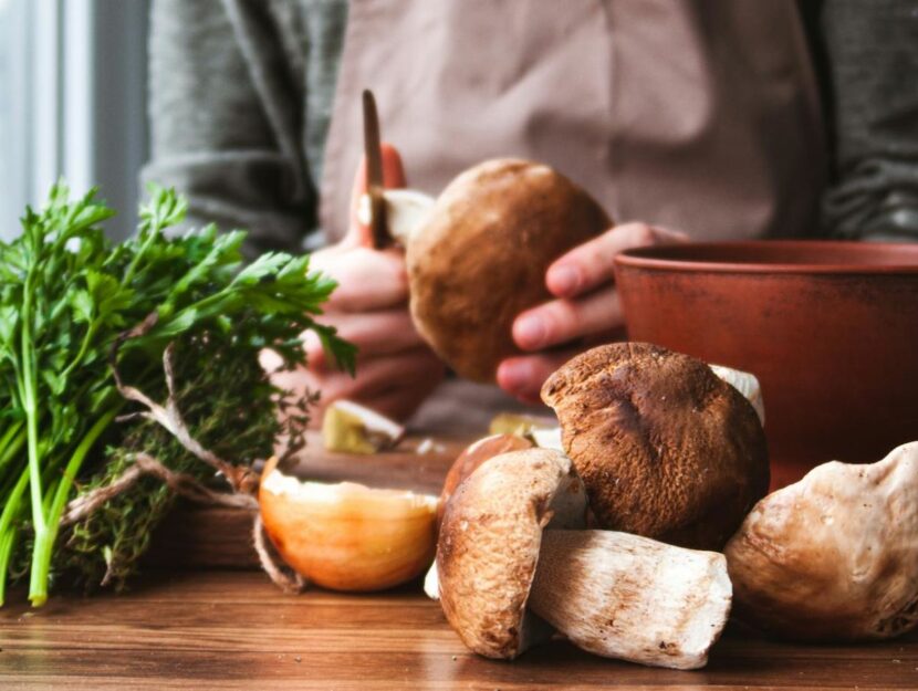 Dalla foresta alla tavola: come raccogliere e conservare al meglio i porcini