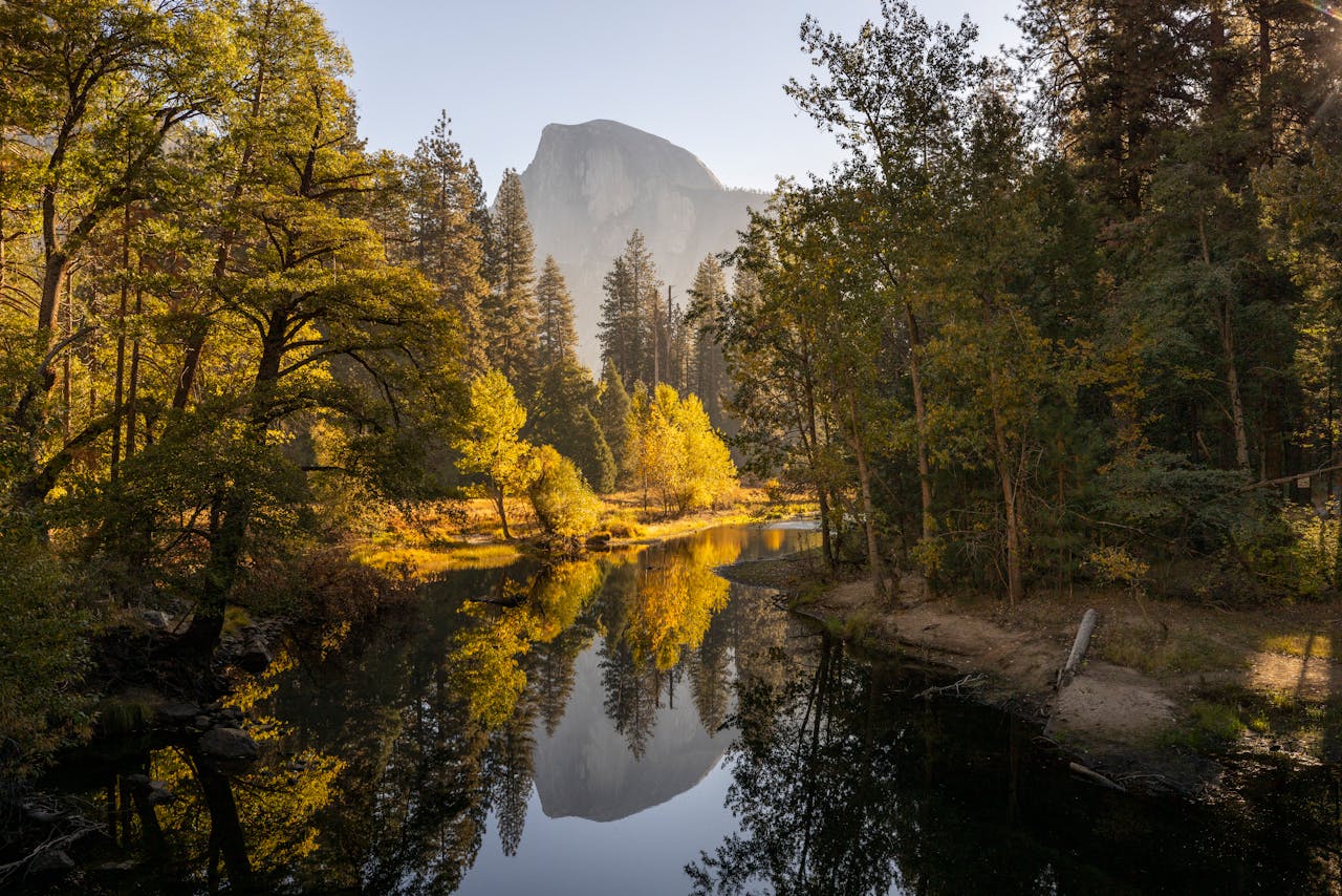 Dove vedere i foliage più belli in Italia