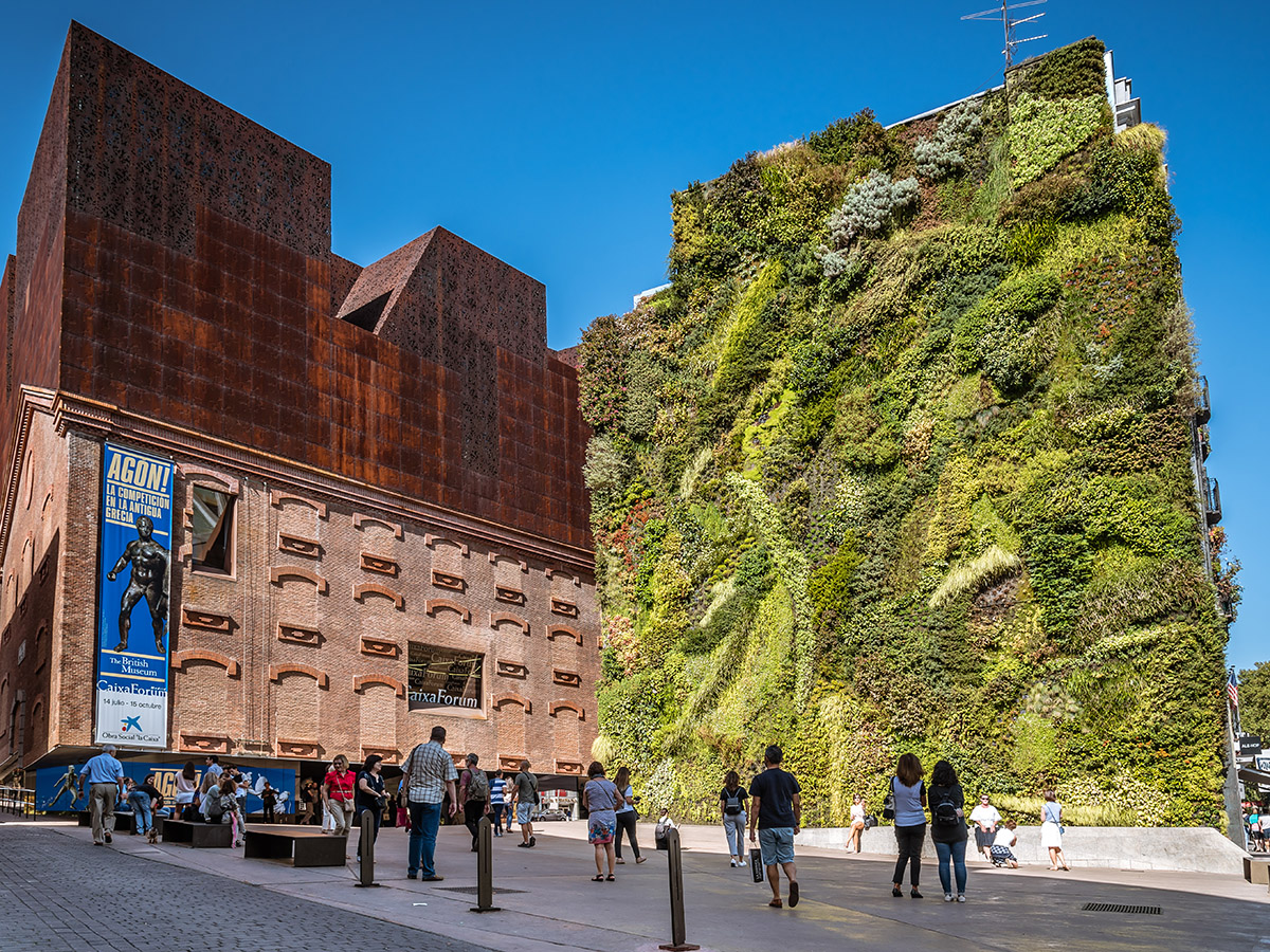 Giardino Verticale Milano Bologna – Realizzare parete verde interno esterno  balcone terrazzo casa