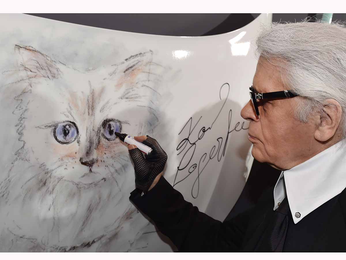 Che fine ha fatto Choupette, la gatta amata da Karl Lagerfeld - Donna  Moderna