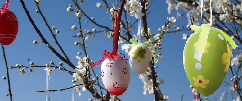 Albero di Pasqua fai da te: storia, significato e idee originali per  decorazioni uniche