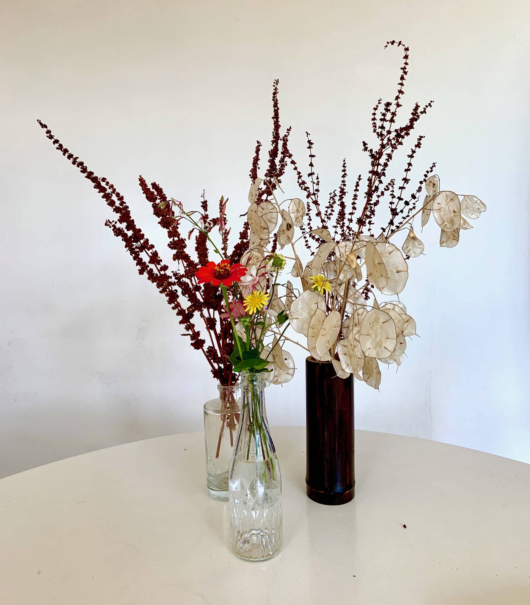 Pianta in scatola - Set di 3 fiori secchi in bottiglie di vetro - bouquet  da essiccare