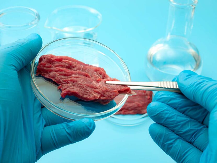 Carne coltivata in laboratorio