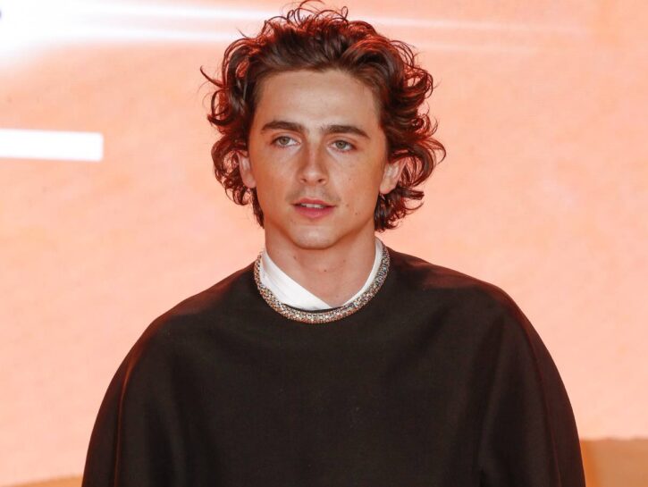 Timothée Chalamet, Le Prime Foto Nei Panni Di Bob Dylan Non Piacciono ...