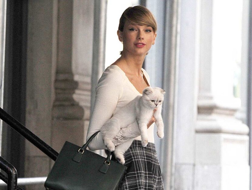 Taylor Swift con la gatta Olivia Benson