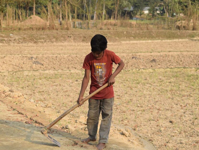 Schiavitù, bambino lavora in un campo