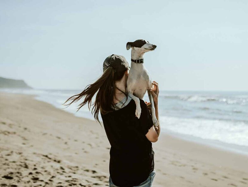 Cane in braccio al suo proprietario