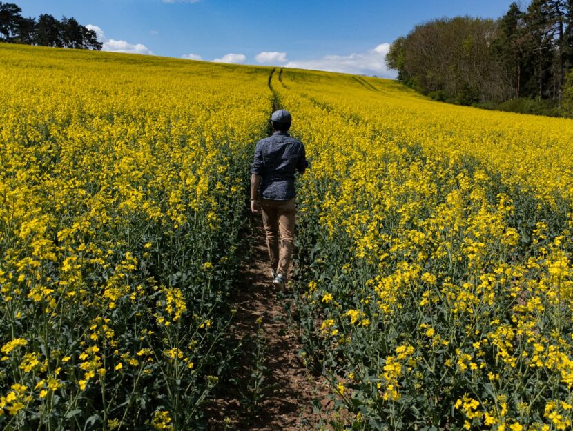 ragazzo che passeggia in campagna