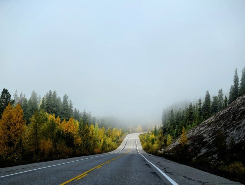 strada avvolta nella nebbia