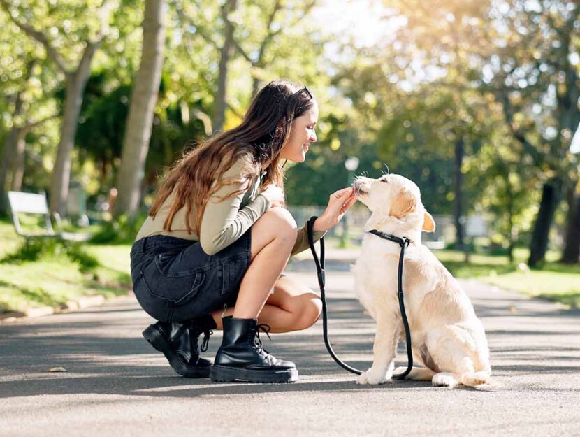 Padrona guarda negli occhi il suo cane