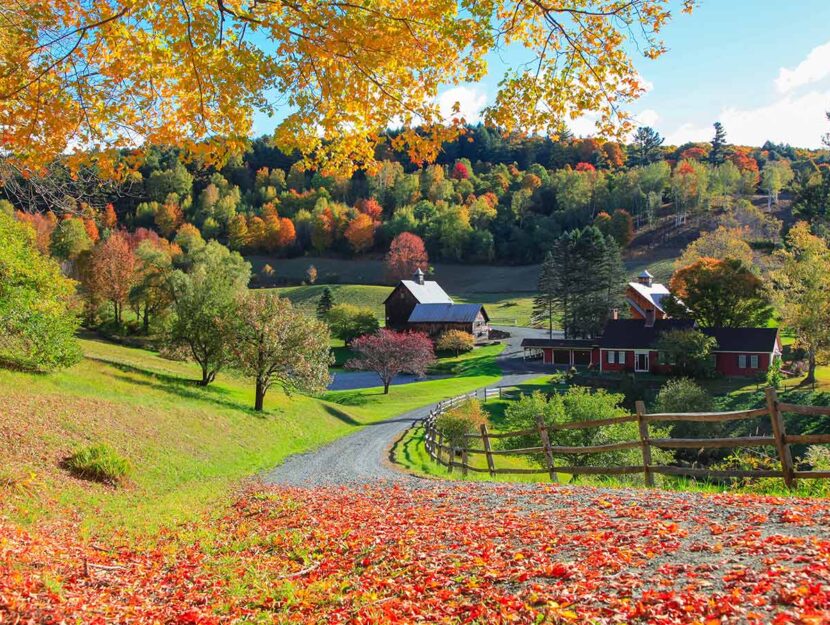 Foliage a Sleepy Hollow Farm