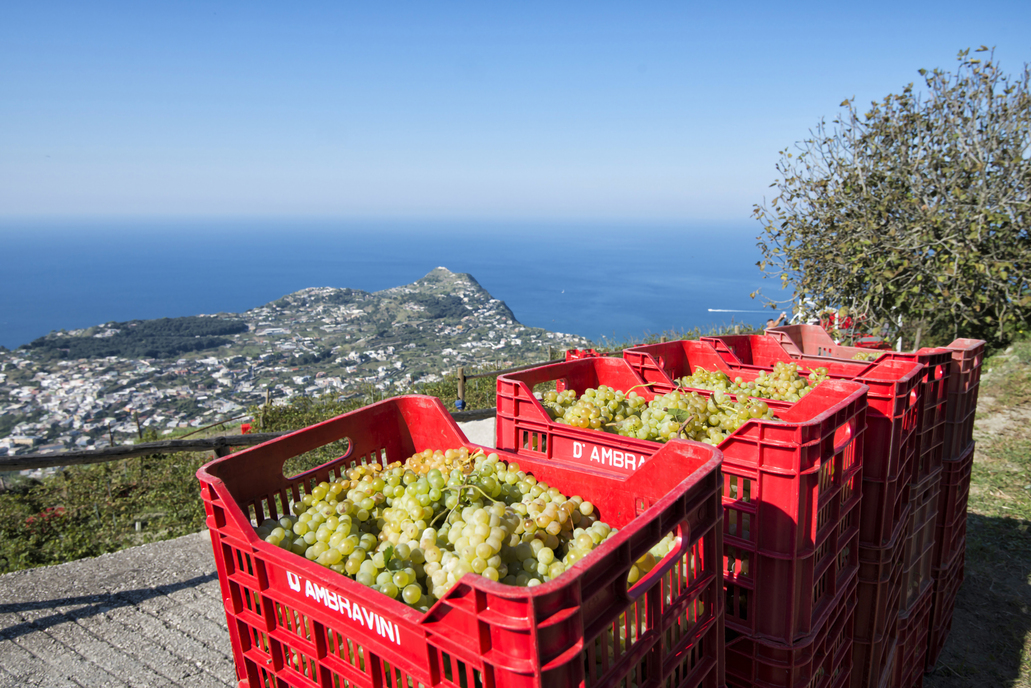 weekend a Ischia in autunno