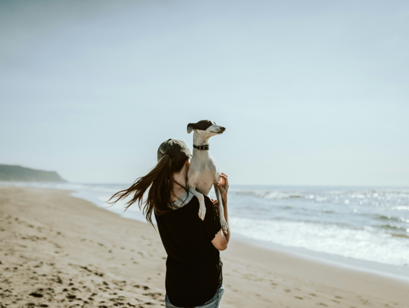 Ragazza single con cane, pet nuovi fidanzati