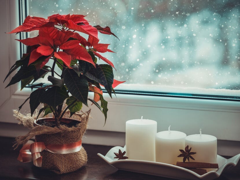 stella di natale sul davanzale con candele