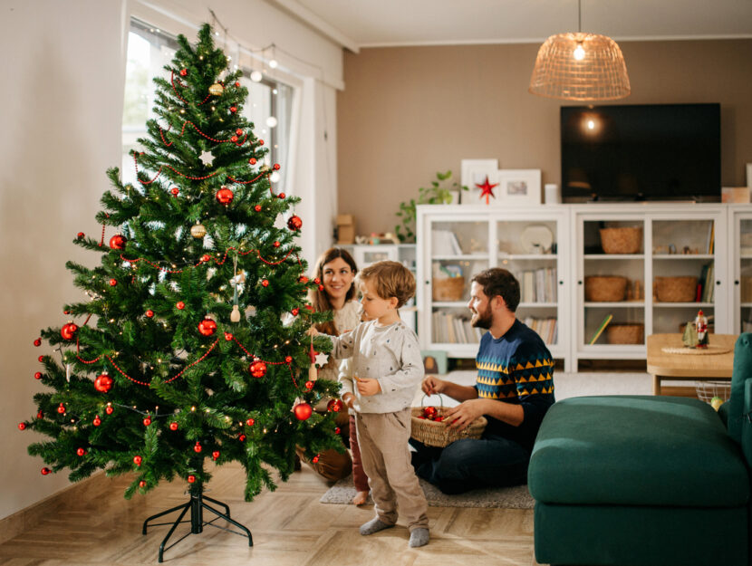 albero di natale in sala