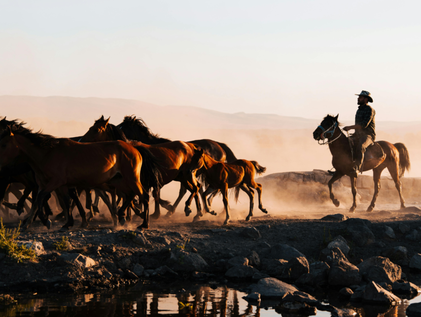 Cowboy nel grande West americano