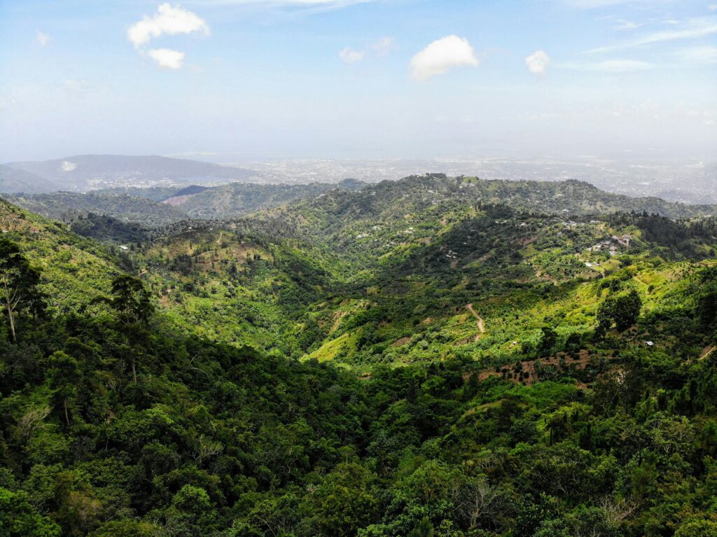 Blue Mountains in Giamaica panorama