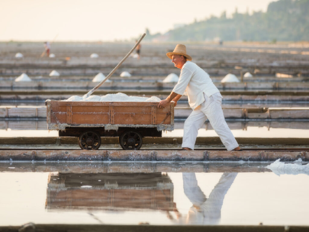 Viaggiare in primavera tra Pirano e Portrose