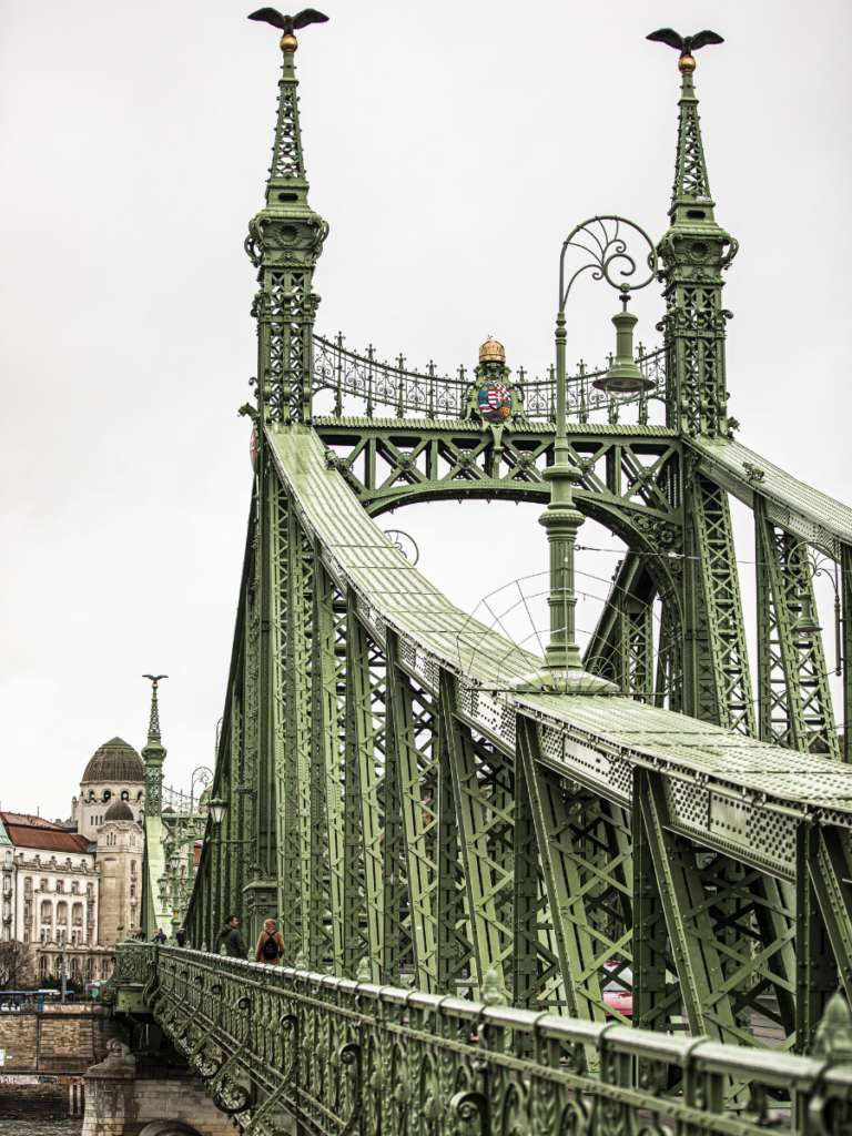 Ponte Libertà Budapest crociera Danubio