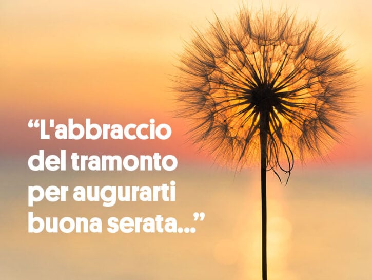 BUONGIORNO FORUM!!!!  Saluti lampo - Pagina 16 4375843-frasi-buona-serata-725x545